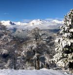 Risoul forest in winter