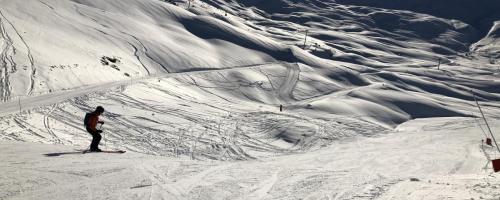 La Fôret Blanche