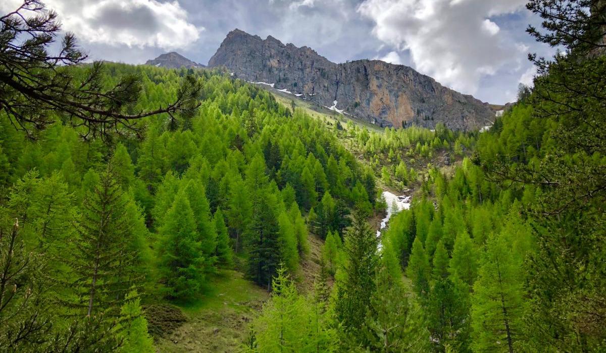 Nature reserve Val d' Escreins